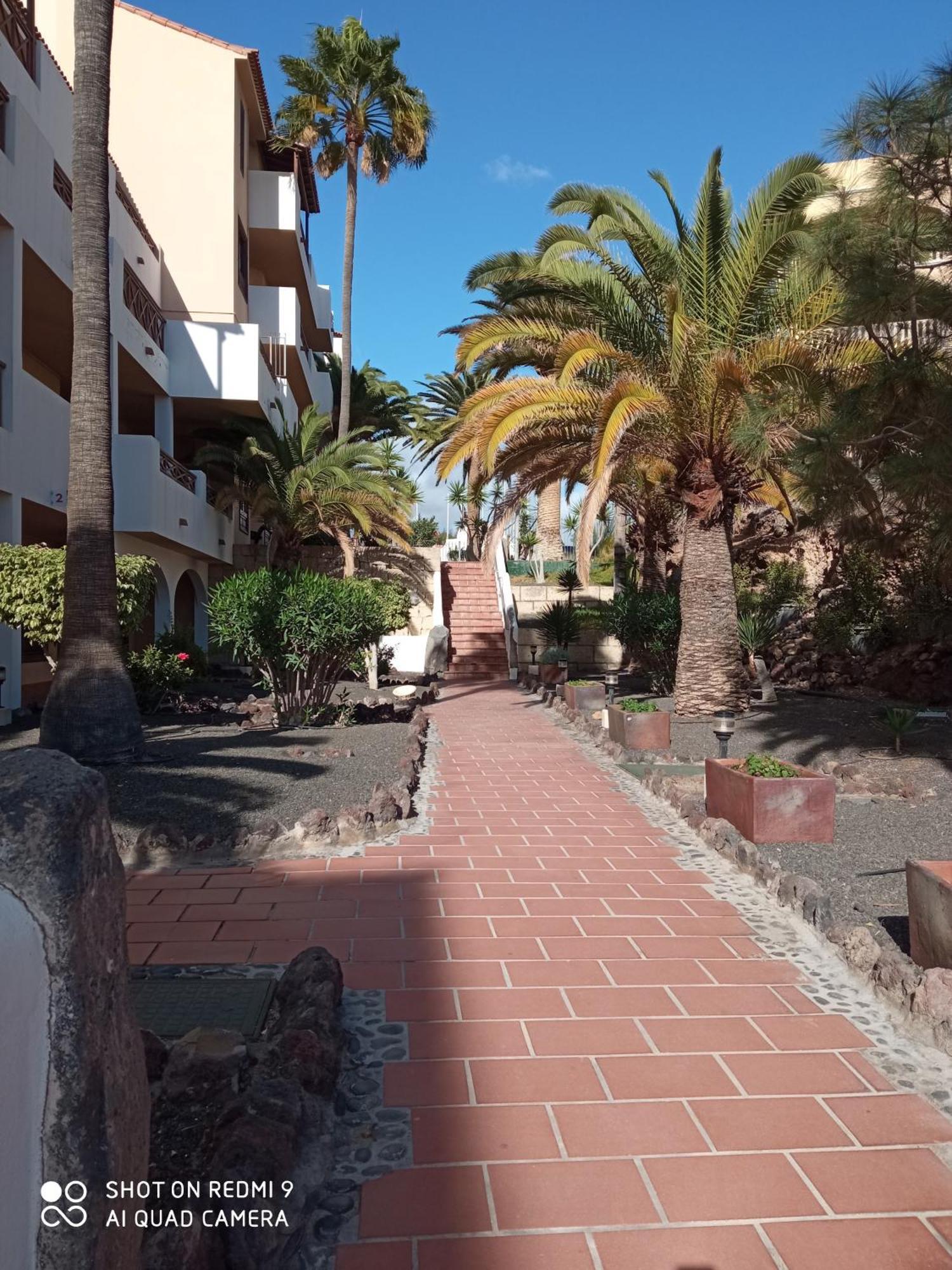 Holiday home Meninas Tenerife *